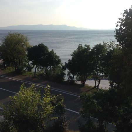 Apartment Marina Senj Senj  Exteriér fotografie